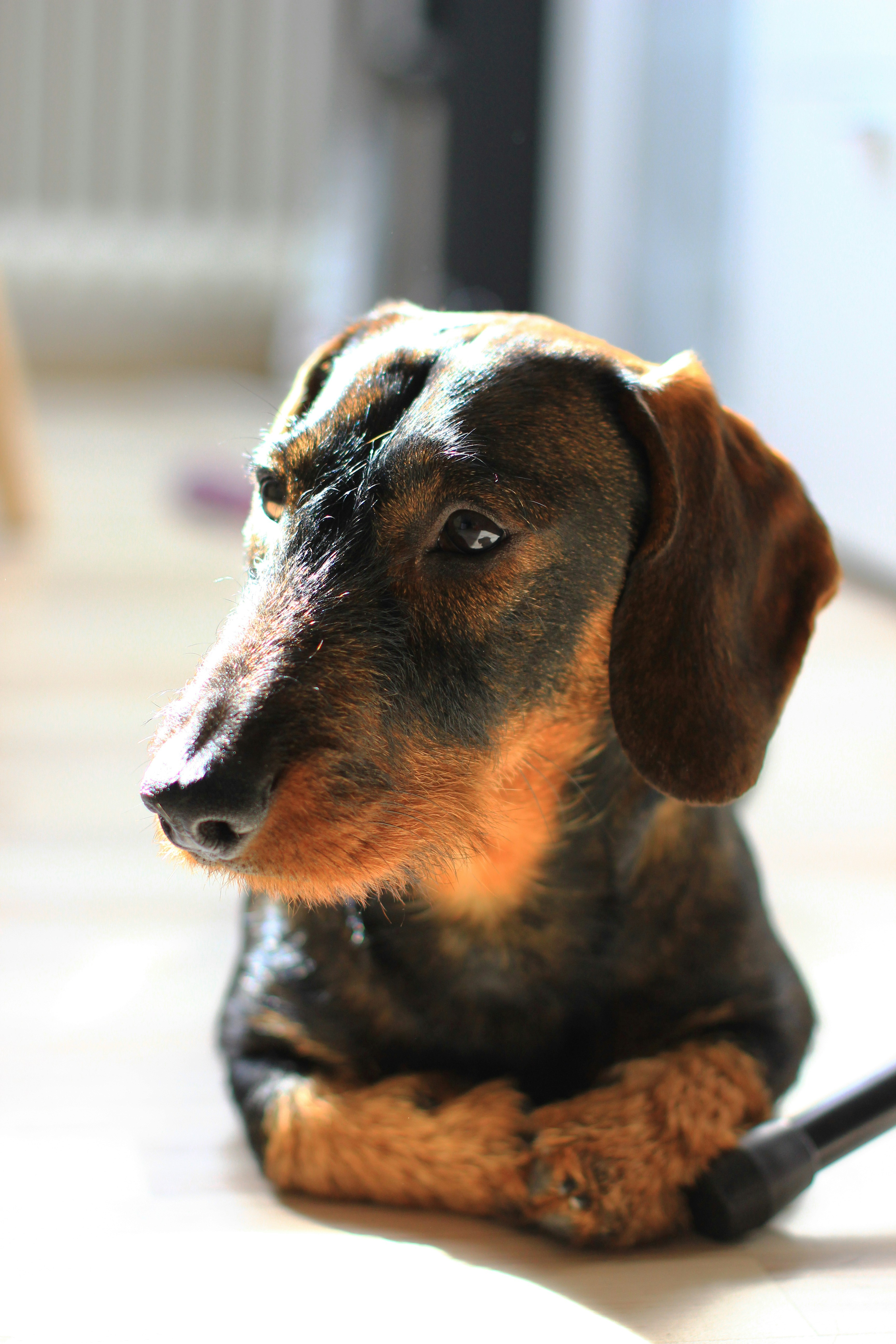 Sarah-borkner-jR-JJThbupw-unsplash