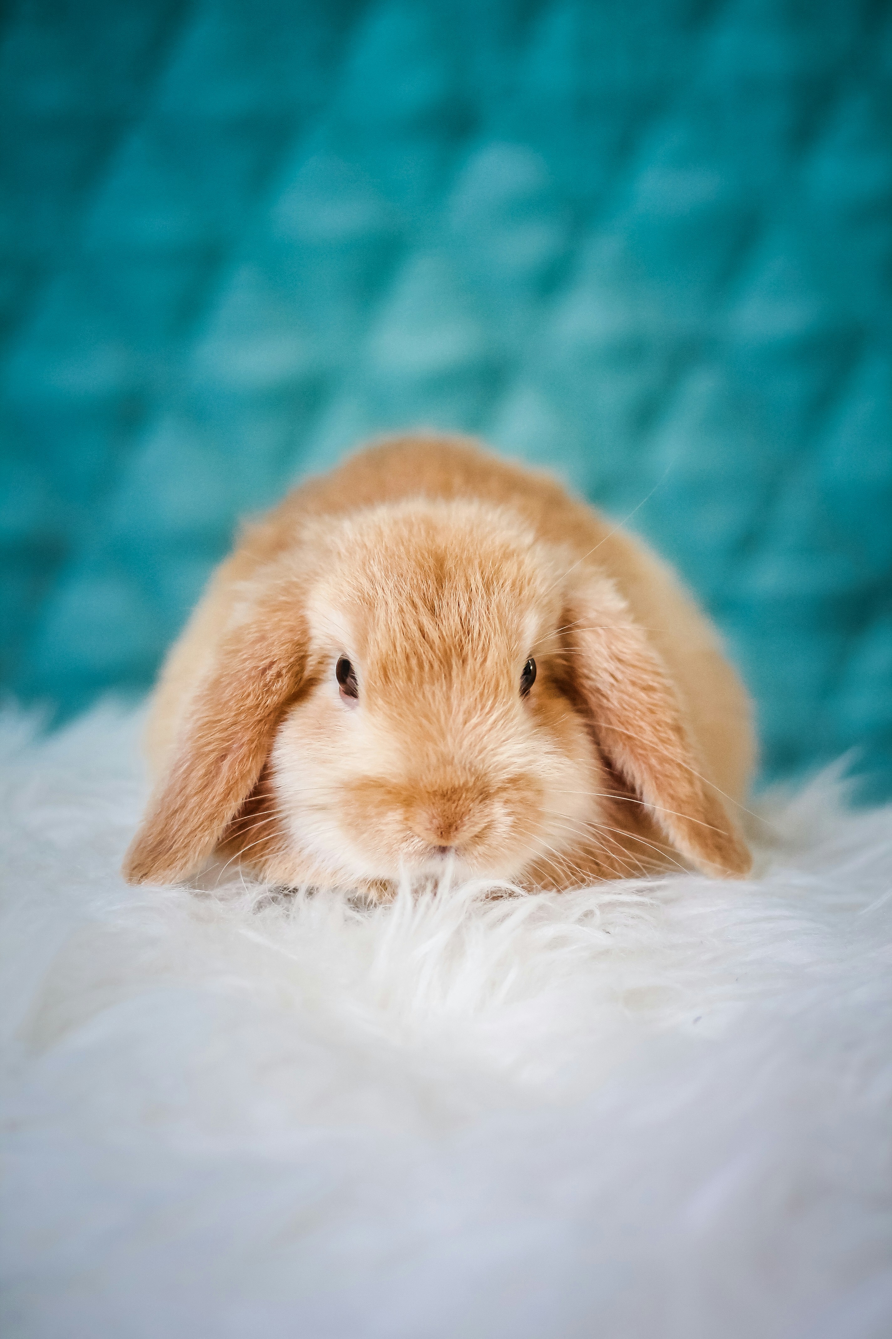 Erik-jan-leusink-SDX4KWIbA-unsplash