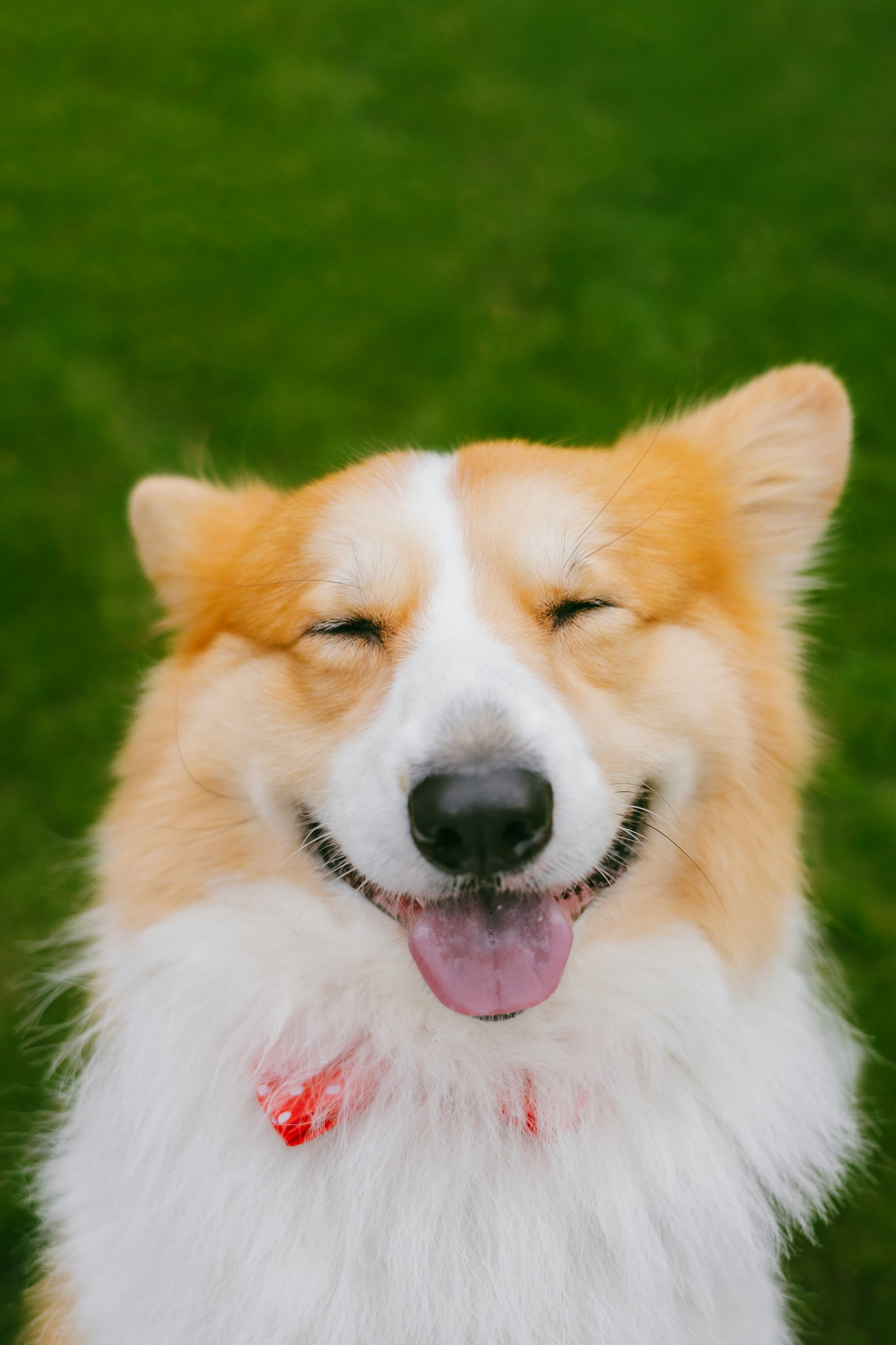 Alvan-nee-rRhnANi1yb0-unsplash