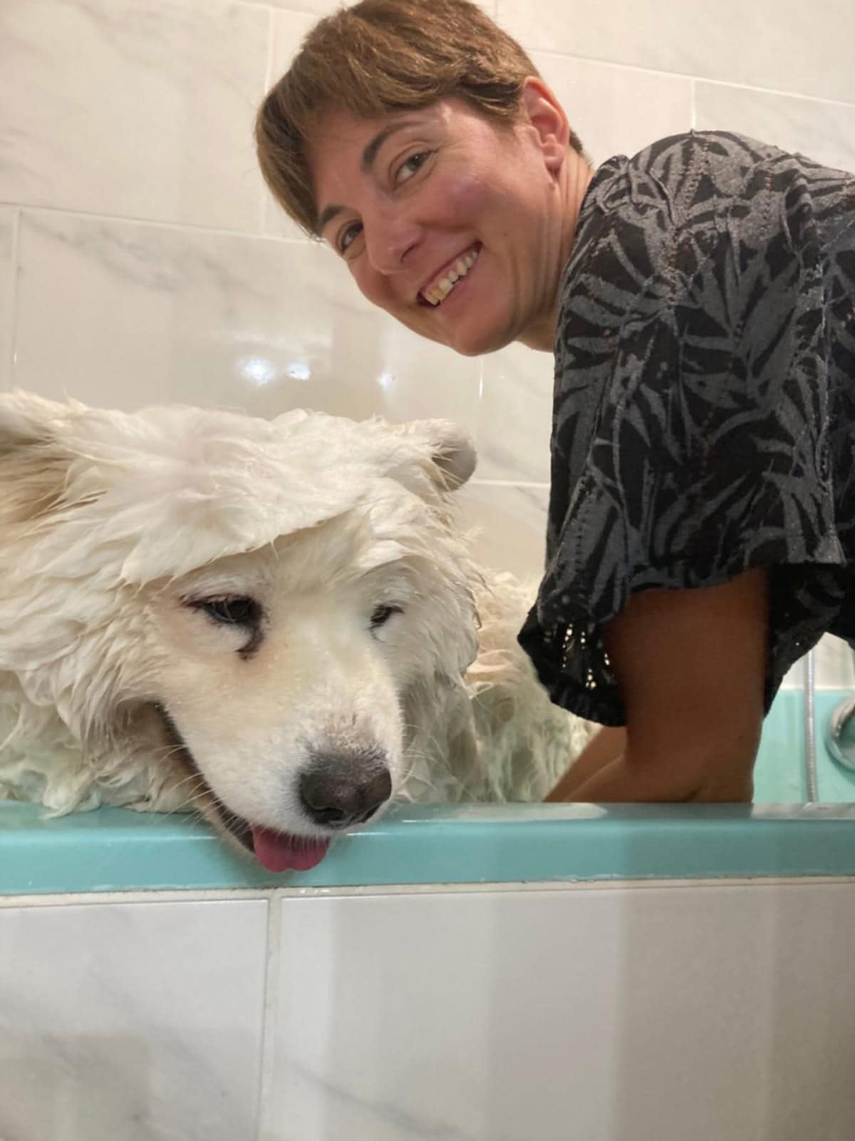 87503226 4eac 46ef b10e 890d06dd0f47