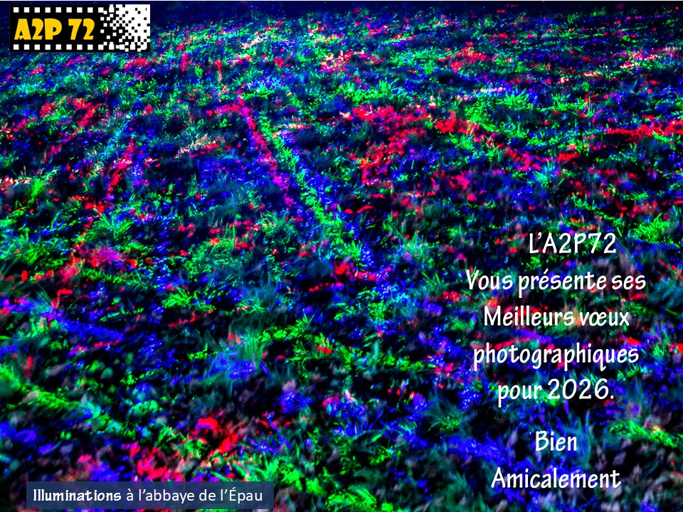 Voeux-A2P-2026-a