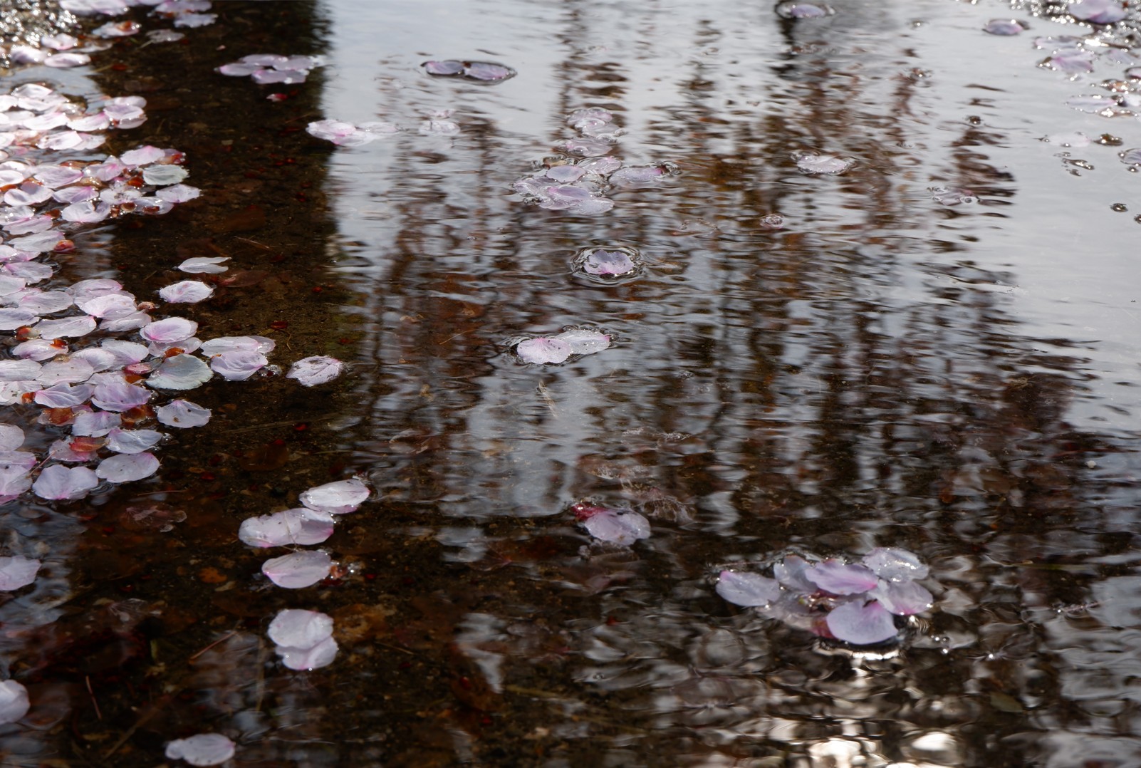 Capture d ecran 2025 12 22 123501