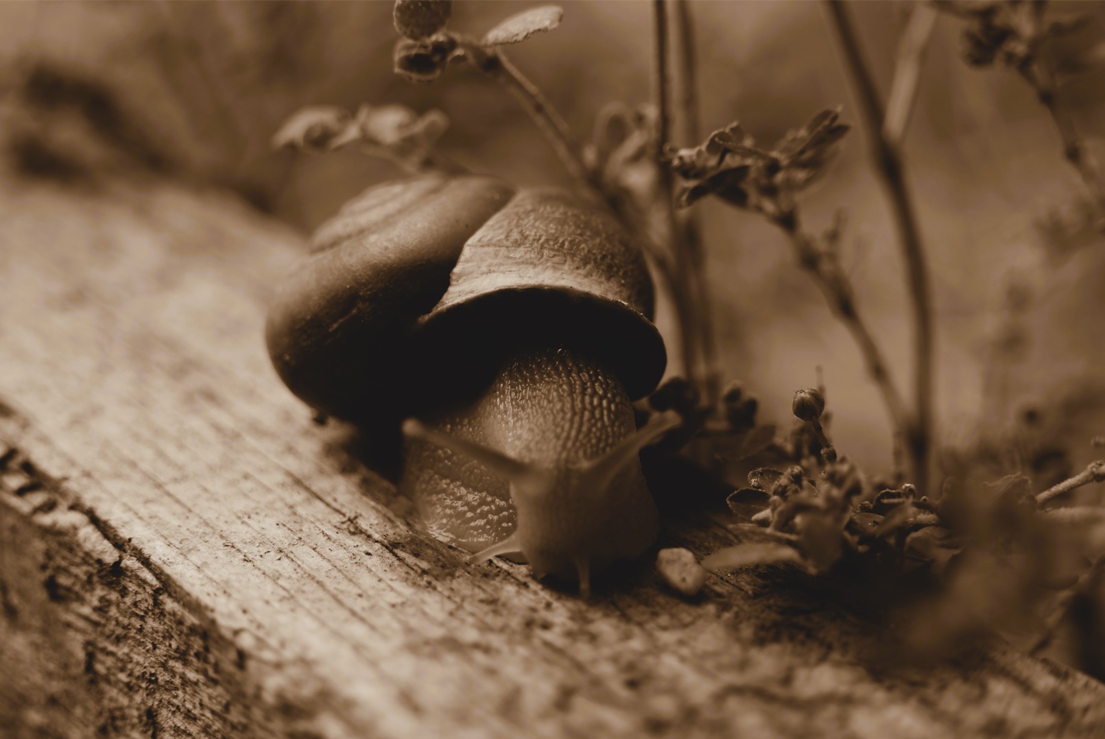 Capture d ecran 2025 12 22 123615