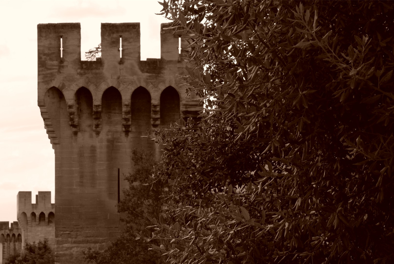 Capture d ecran 2025 12 22 123527