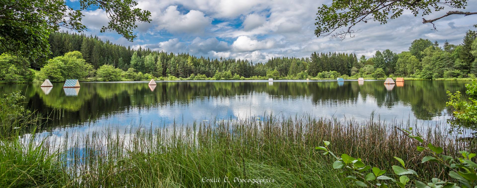 21543807 2013599412220687 8843278824009551700 o