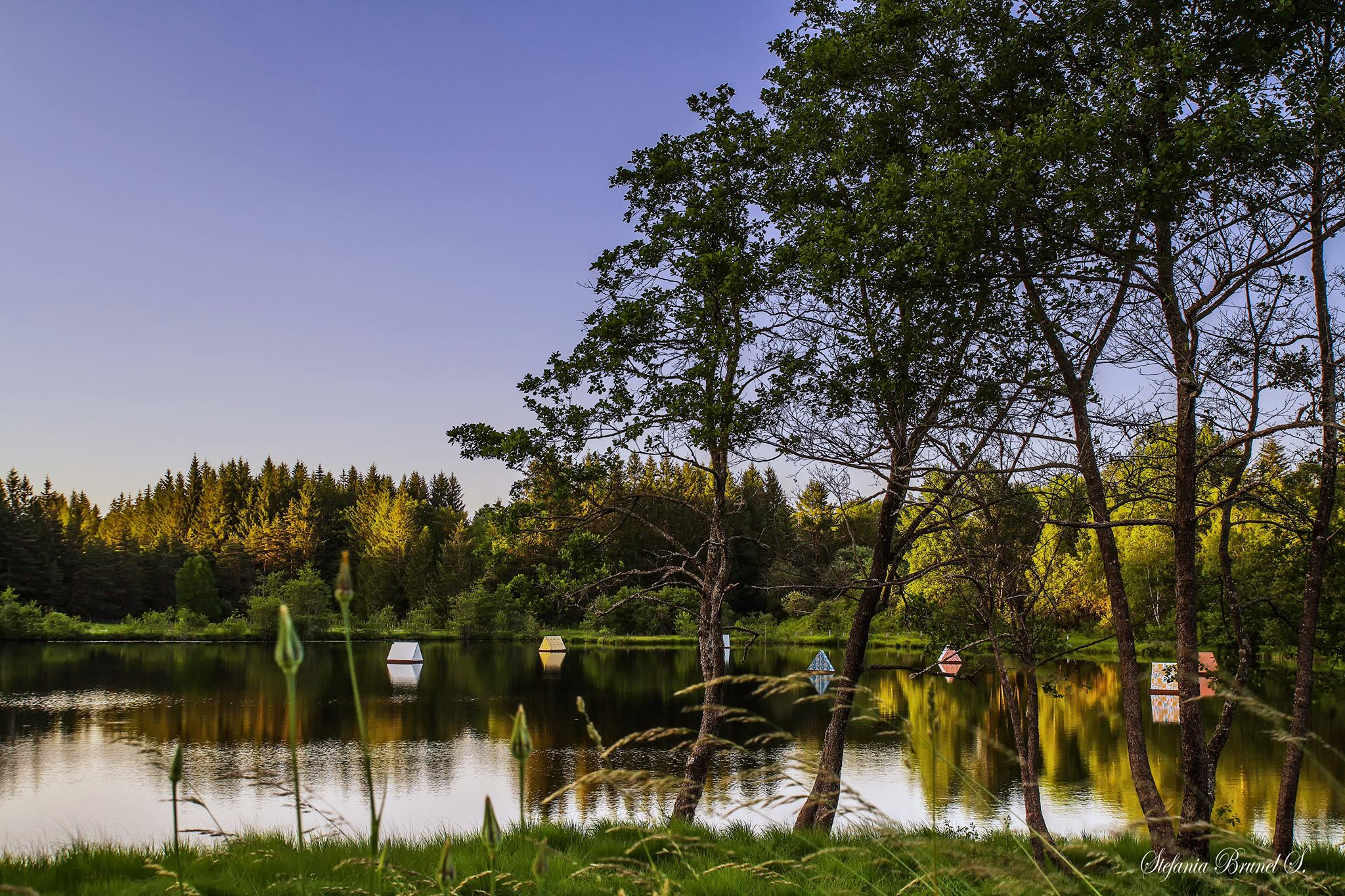 19400632 1926856010937585 3945479453412419325 o