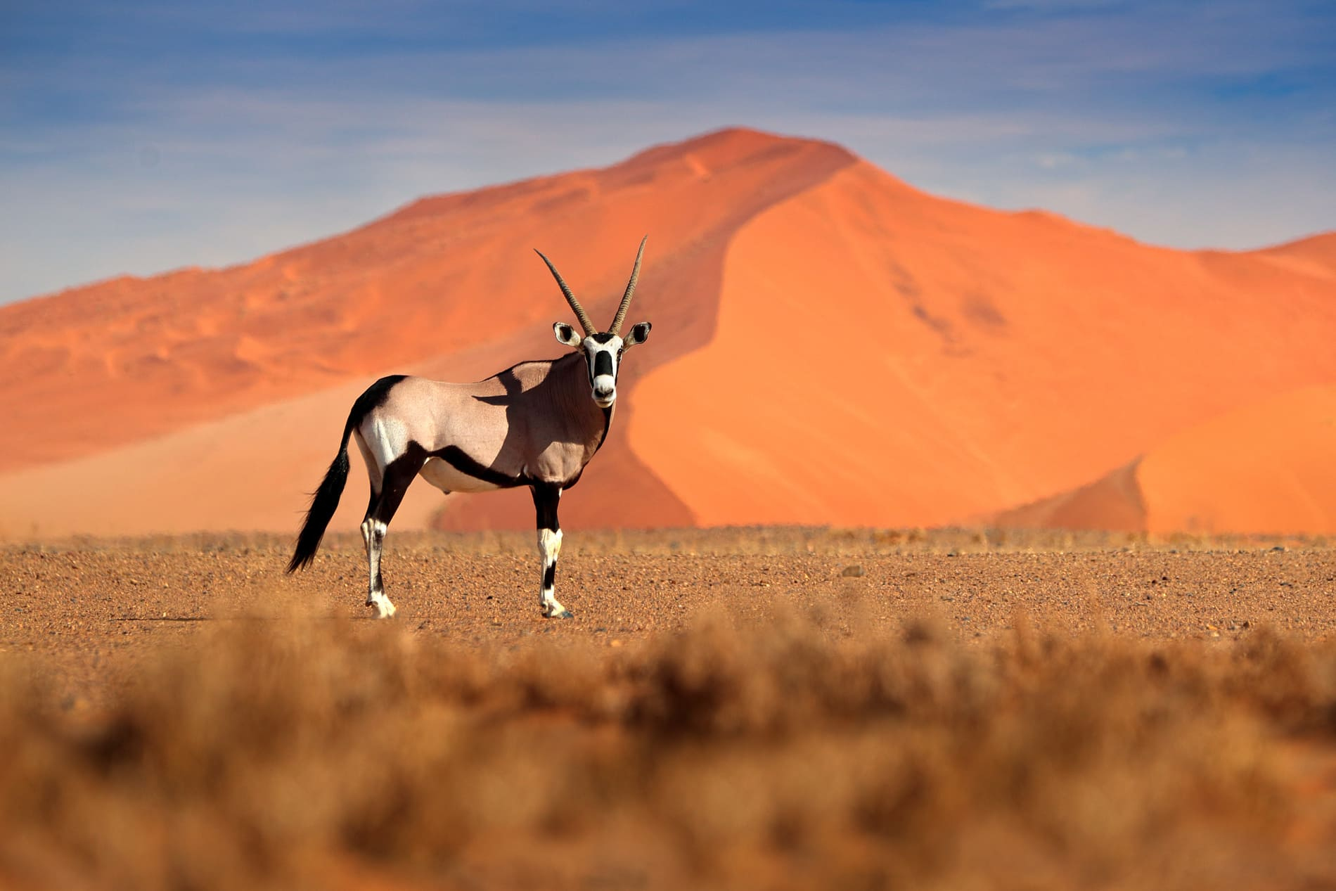 Dunes sossusvlei