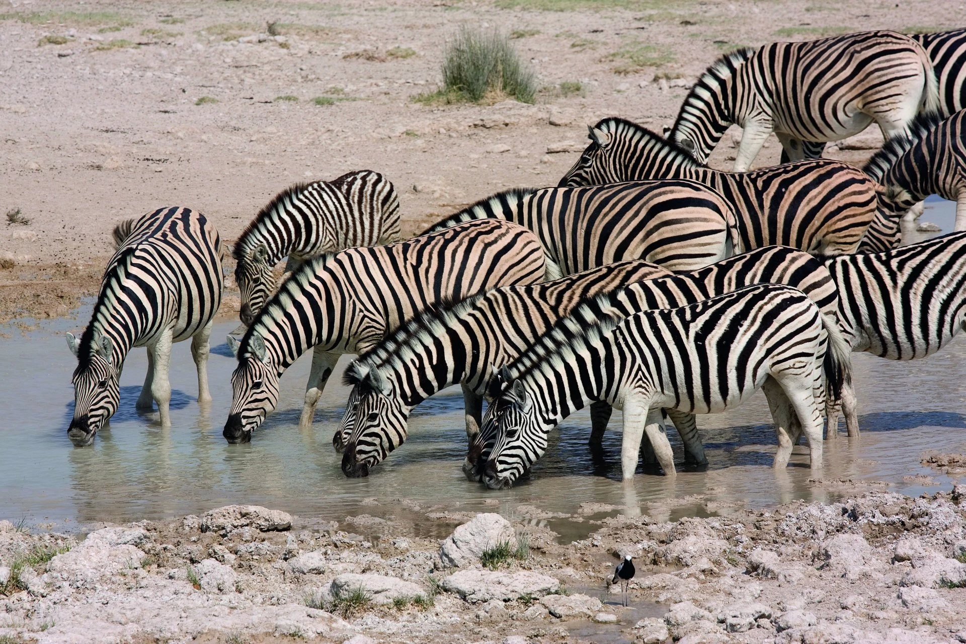 5d75fa538f73f-namibie