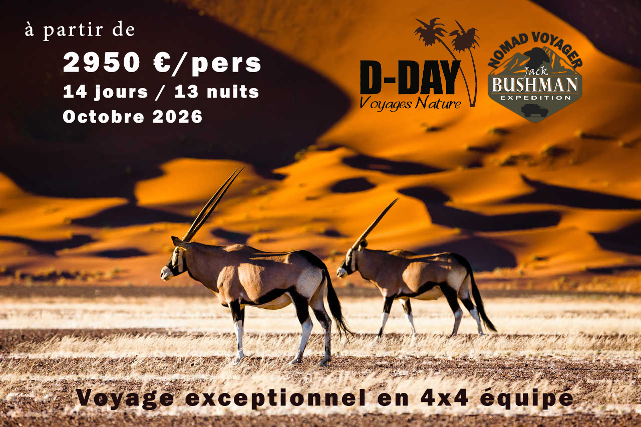 Pub-namibie-2026
