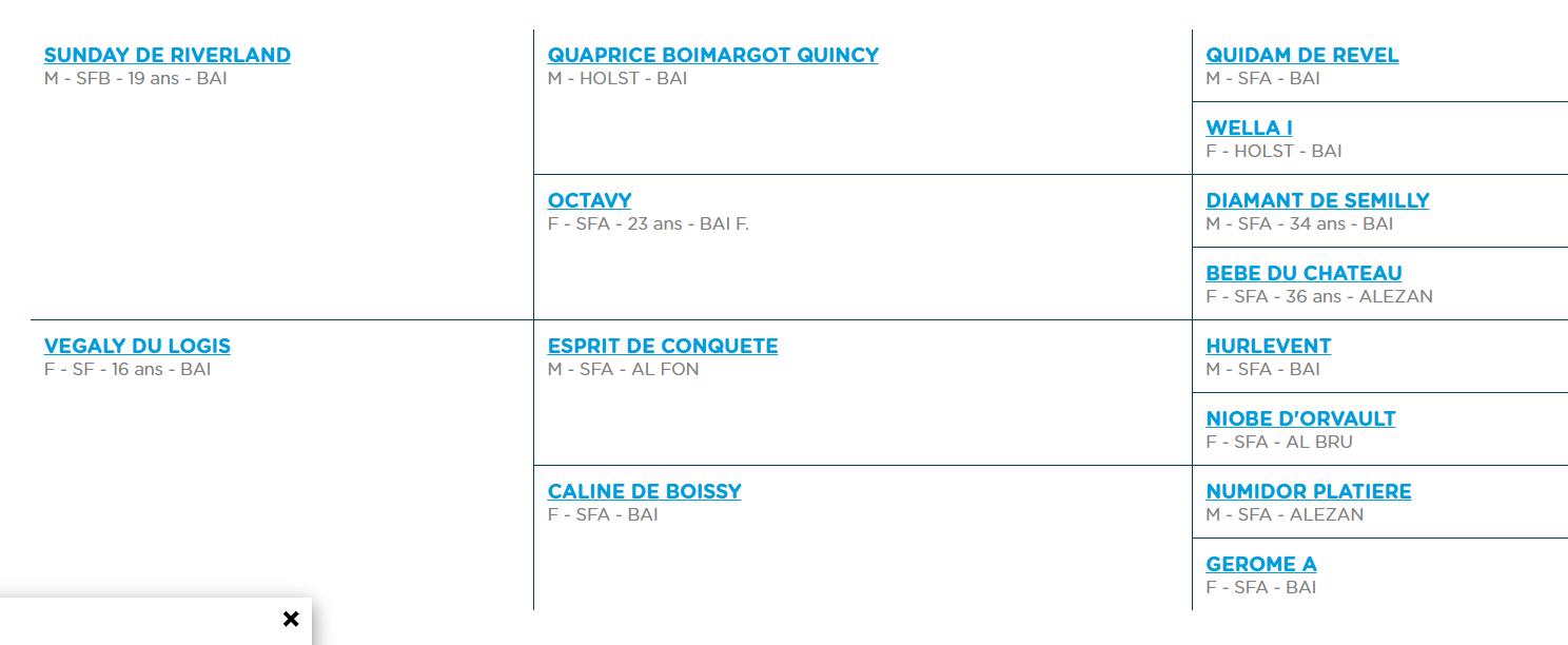 Capture-d-ecran-2025-12-23-173228