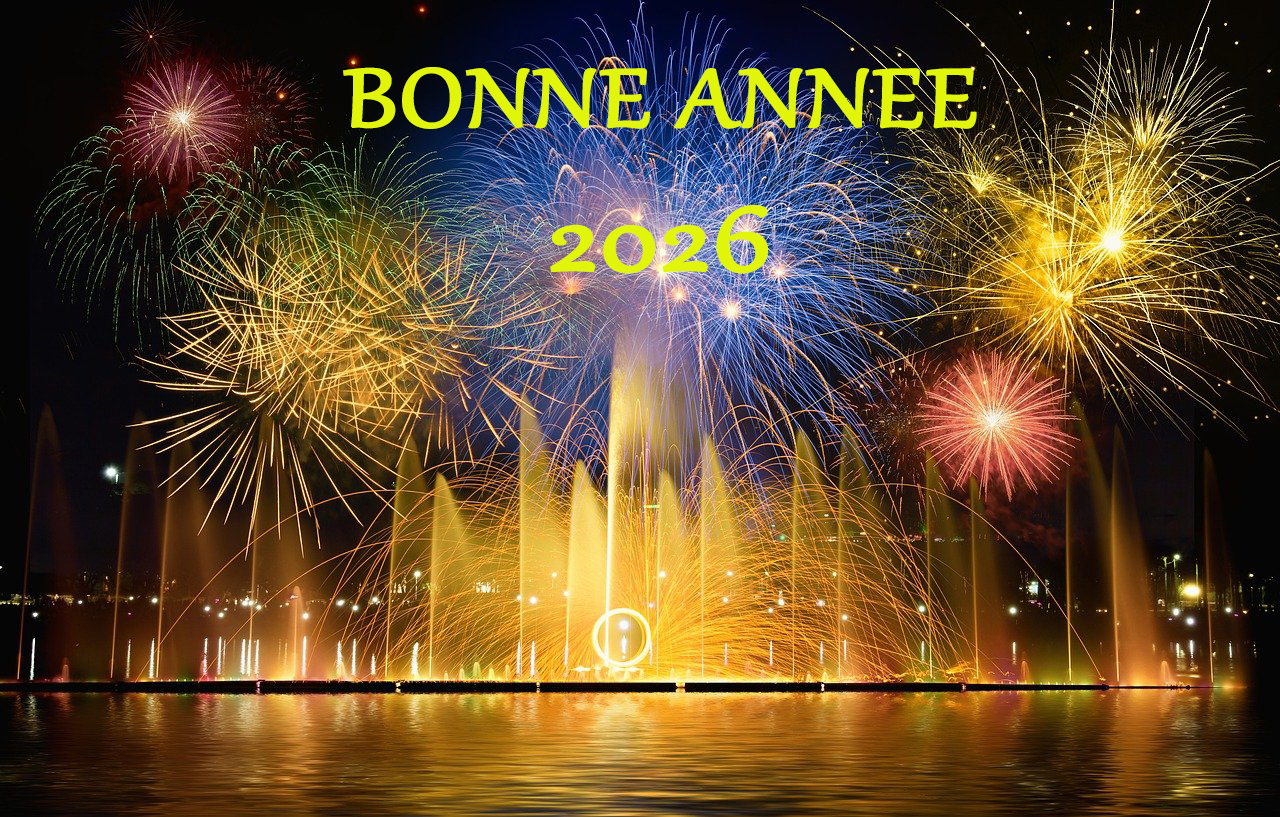 Un stage de tennis de table vers la performance