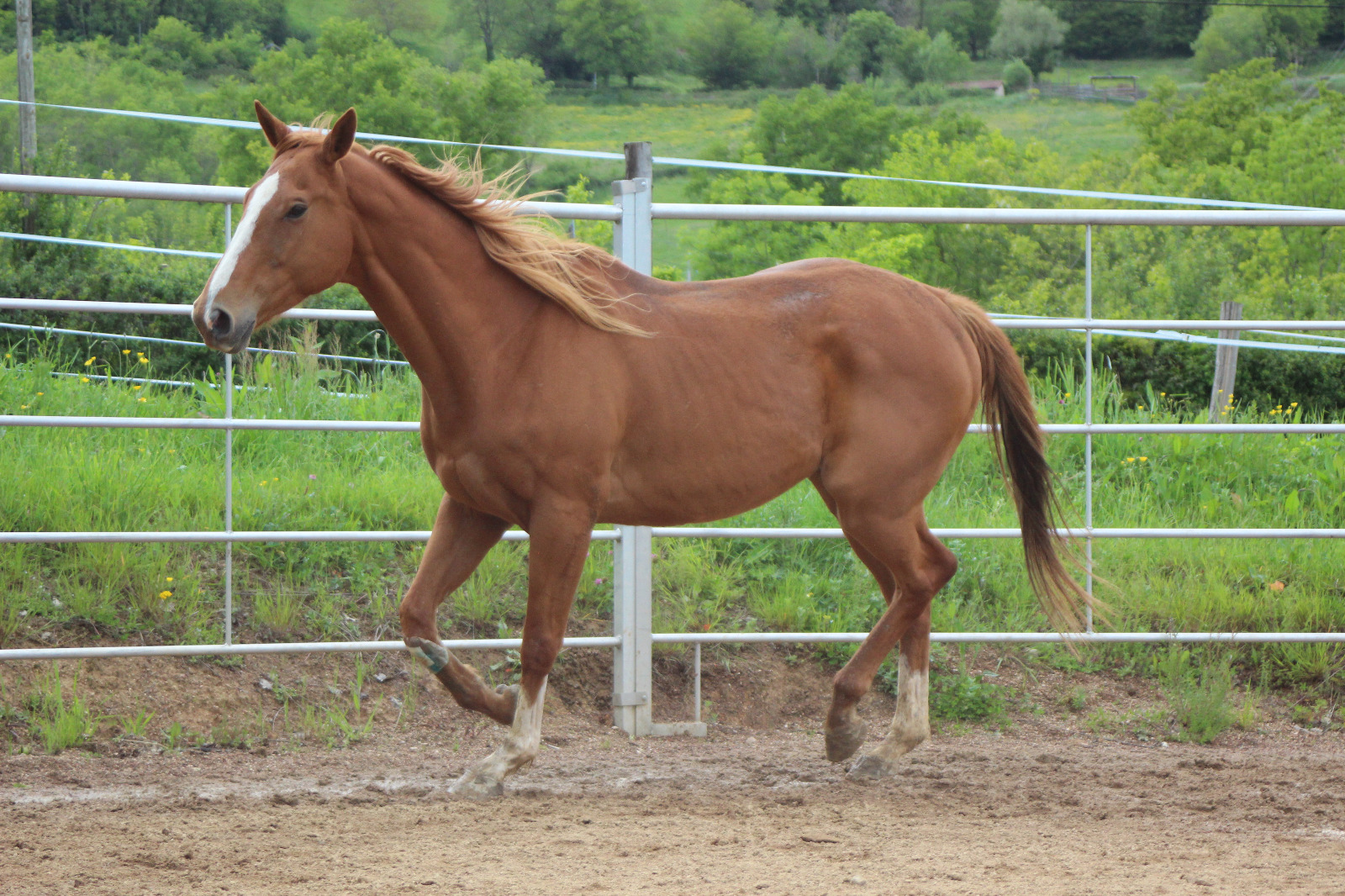 Img 20240516 wa0123 1 