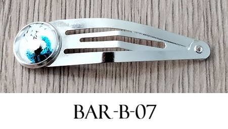 Bar b 07