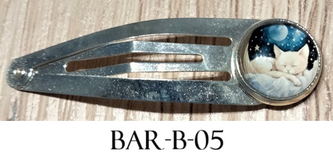 Bar b 05