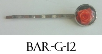 Bar g 12