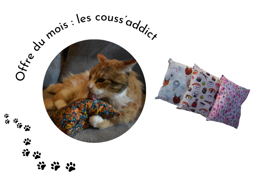 Cream-and-Brown-Photographic-Beauty-Site-Launch-Website-850-x-580-px-2-