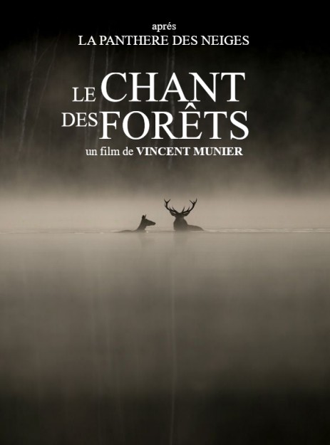 Lechantdesforets