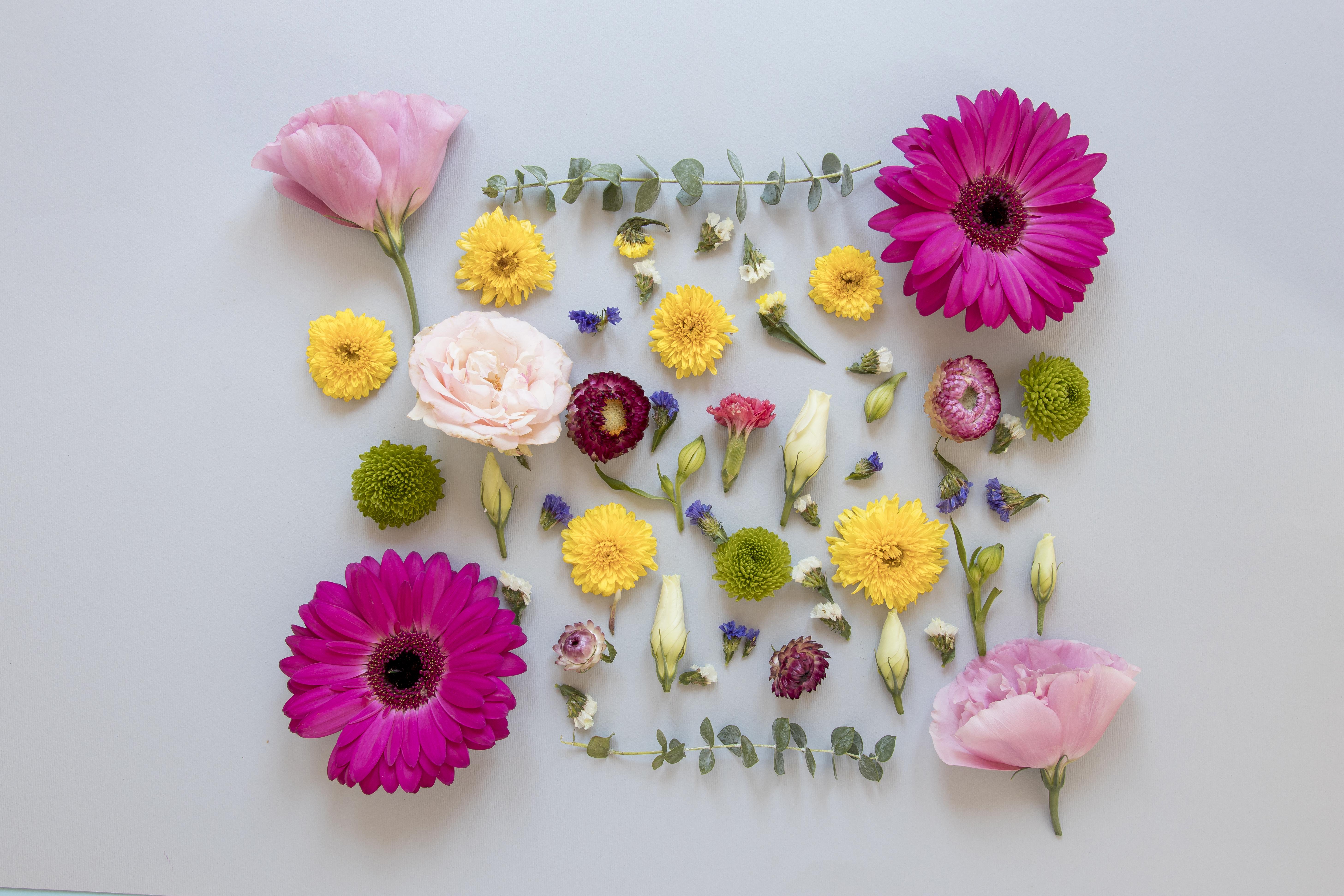Mise-a-plat-d-un-assortiment-de-fleurs-magnifiques