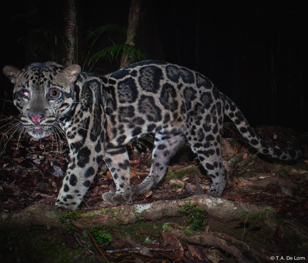 F6f2be5a 226b 43ed b600 6723659b3077