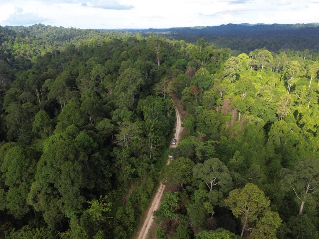 Whatsapp image 2025 11 03 at 16 21 44