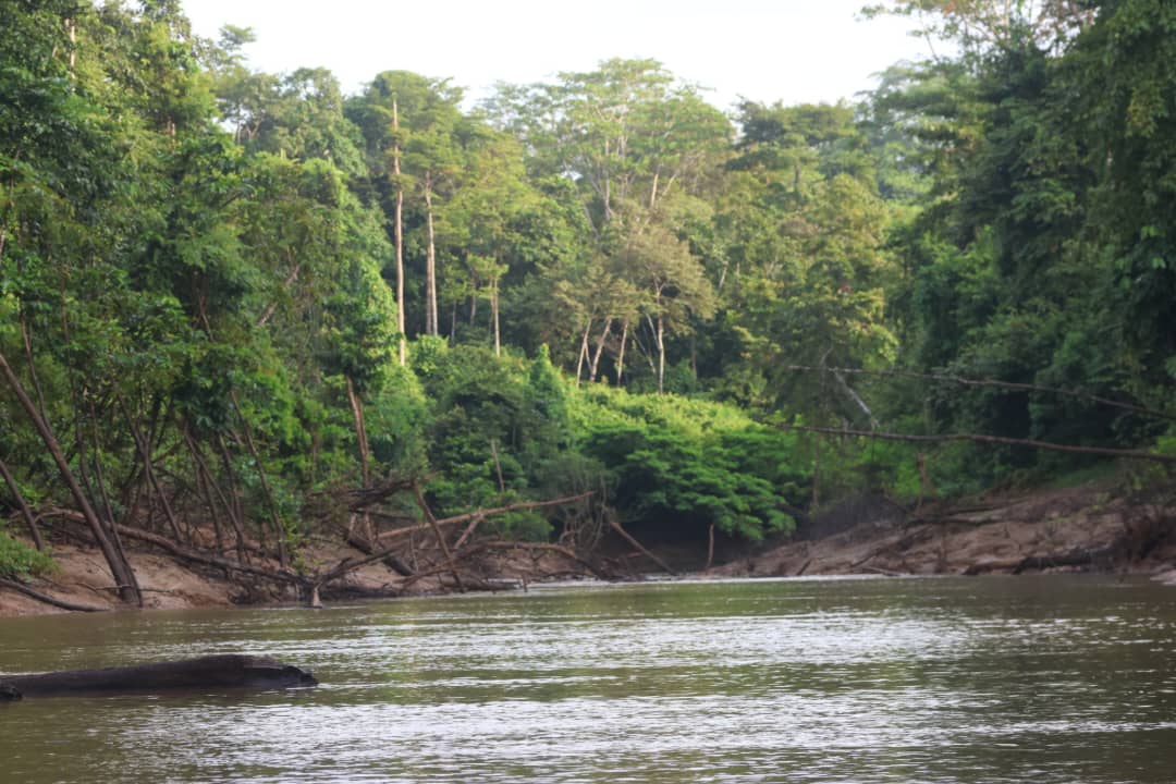 Whatsapp image 2025 11 03 at 16 21 46