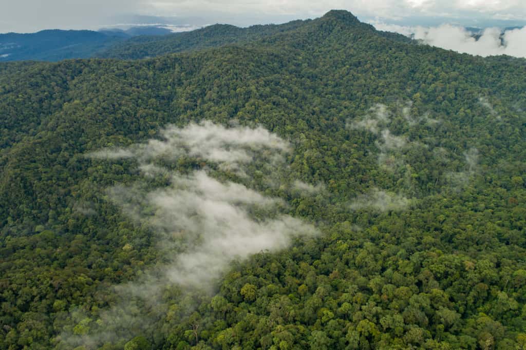 Whatsapp image 2025 11 08 at 23 13 01