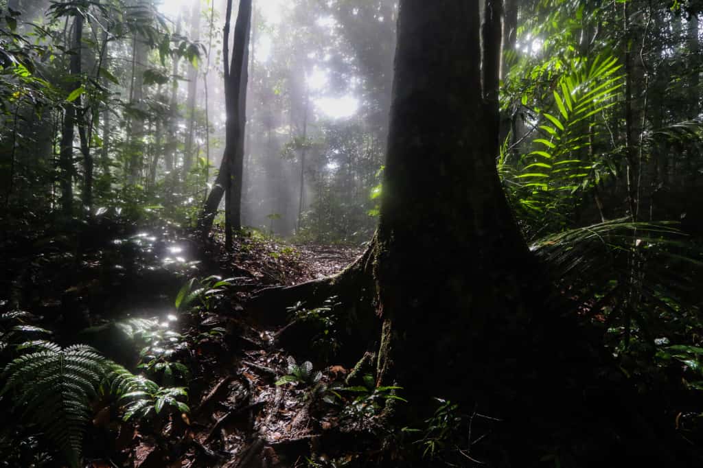 Whatsapp image 2025 11 08 at 23 13 36 2 