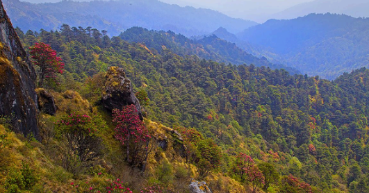 Capture d ecran 2026 01 03 132314