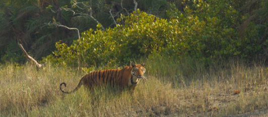 Capture d ecran 2026 01 03 131334