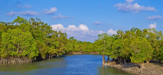 Capture d ecran 2026 01 03 131324