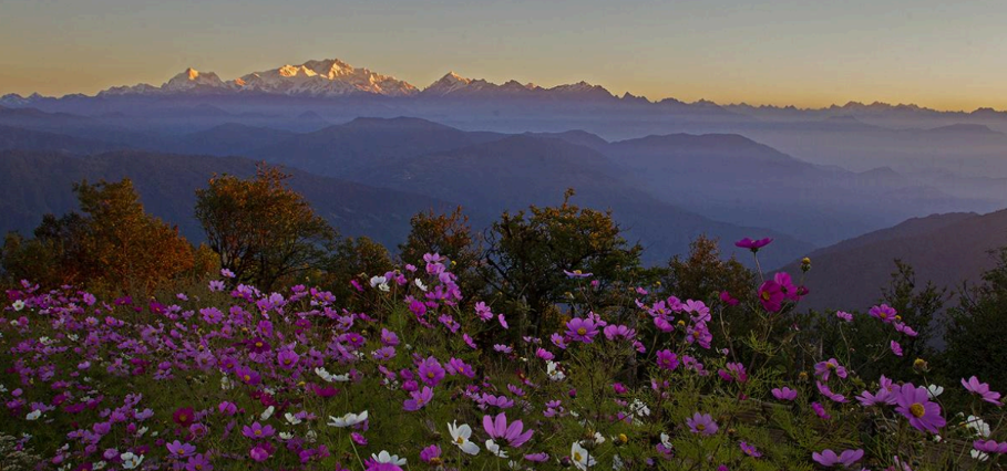 Capture d ecran 2026 01 03 131245