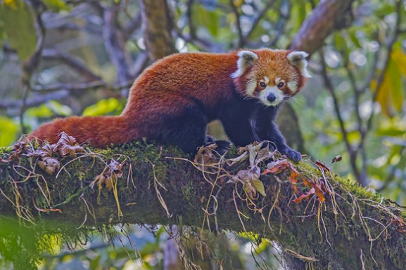 Capture d ecran 2025 12 18 144155