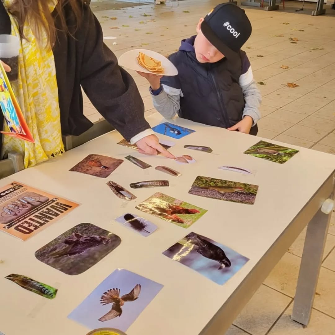 Fete courte echelle 2025