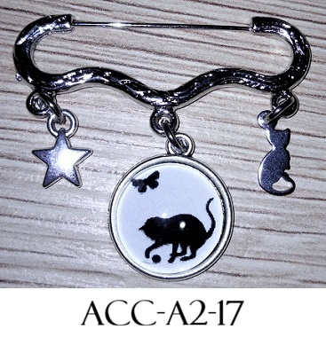 Acc a2 17