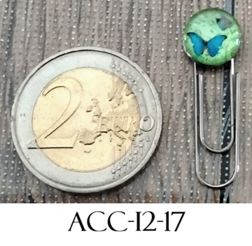 Acc i2 17