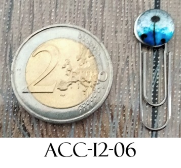 Acc i2 06