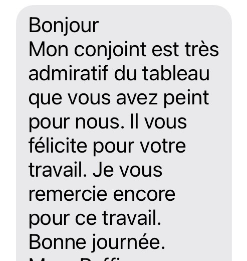 Avis peinture irinart france