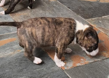 Capture-d-ecran-2026-01-05-105116