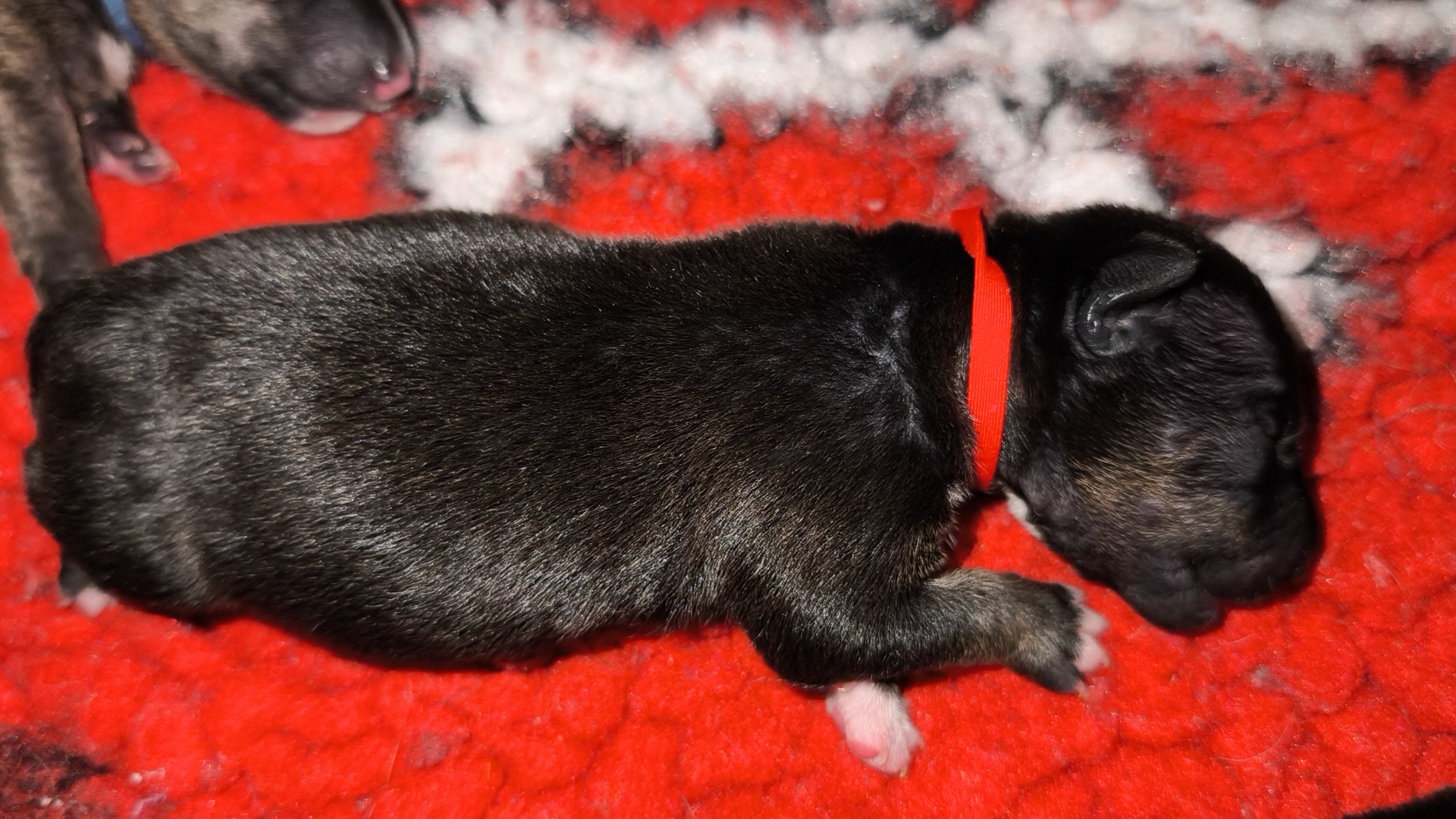 IMG 20251229 115133-1-