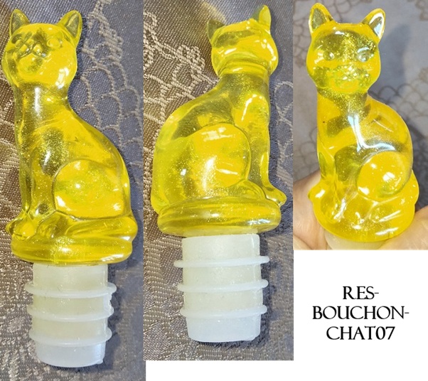 Res bouchon chat07