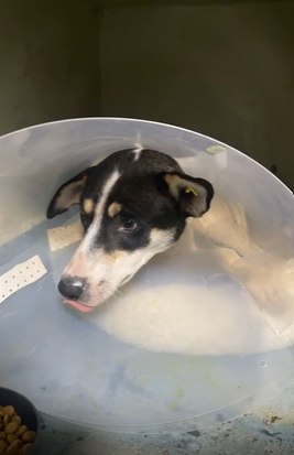 Capture d ecran 2026 01 07 113035