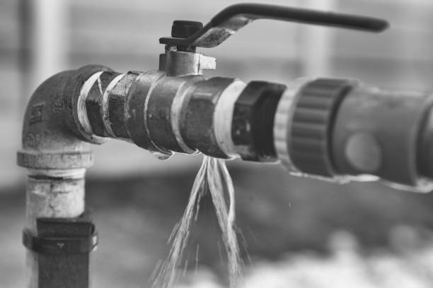 Istockphoto-1167181047-612x612