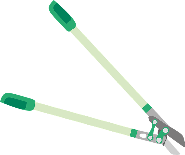 Samedi 10/01 - Parcieux - Notre premier recépage !