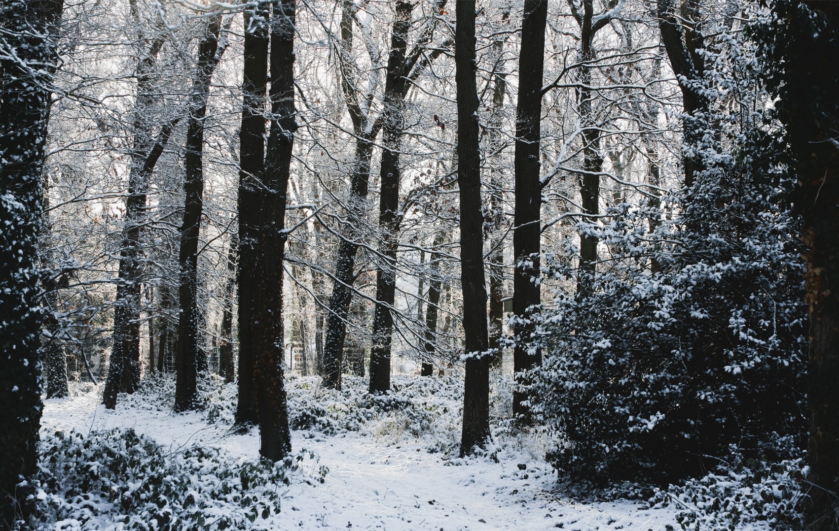 Capture d ecran 2026 01 07 130154