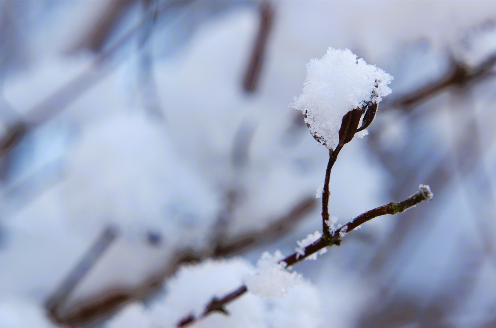 Capture d ecran 2026 01 07 130049