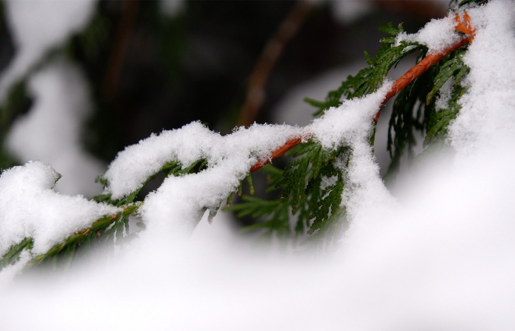 Capture d ecran 2026 01 07 130027