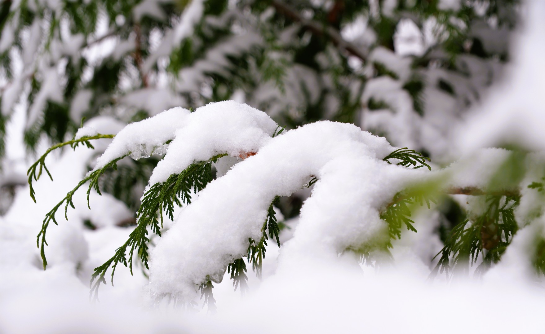 Capture d ecran 2026 01 07 125958