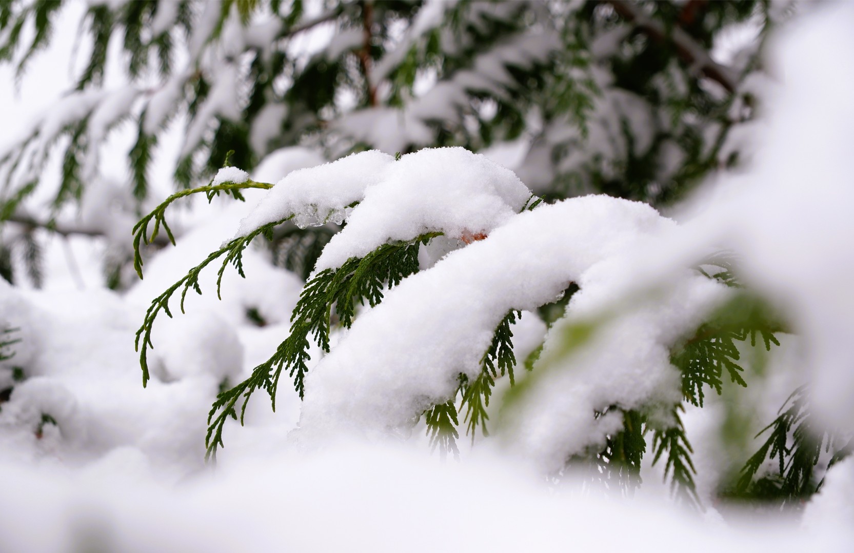 Capture d ecran 2026 01 07 125900