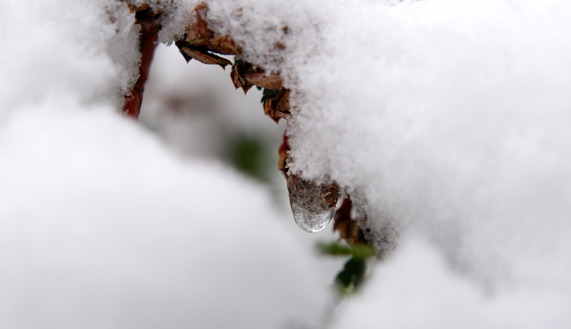 Capture d ecran 2026 01 07 125830