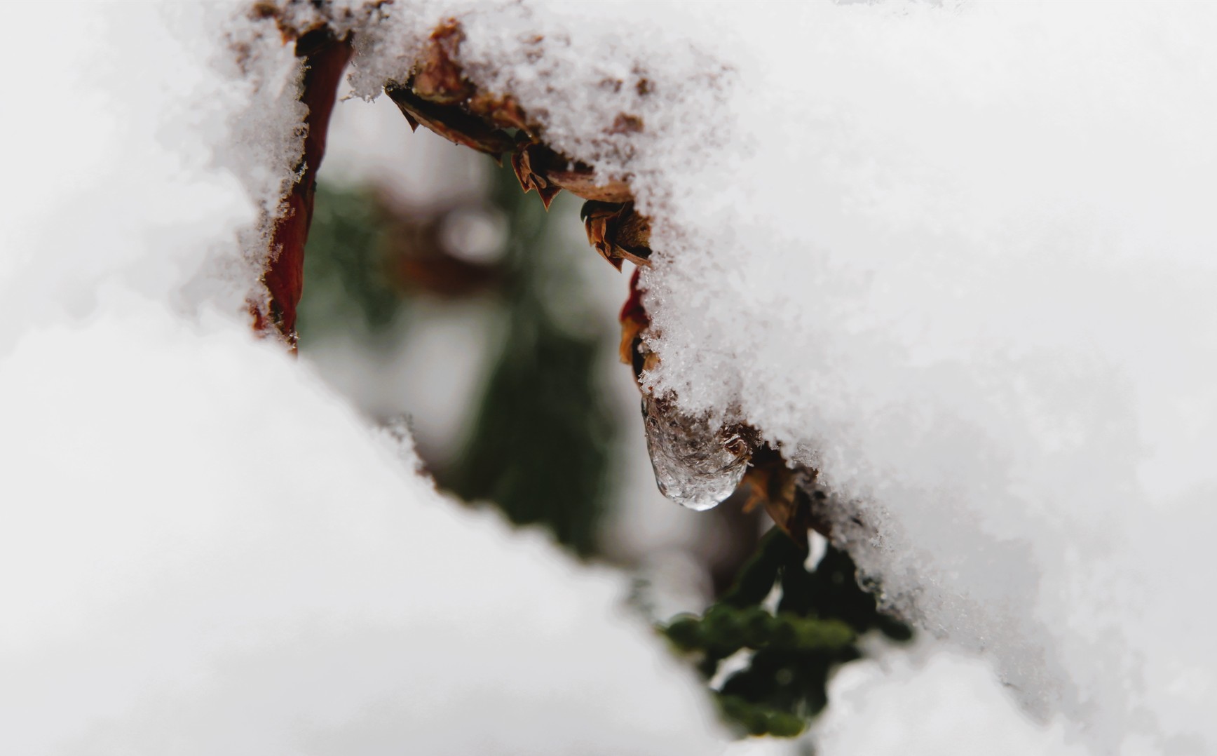 Capture d ecran 2026 01 07 125803